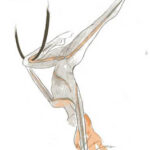 Costume Designs by Giuseppe Arena
